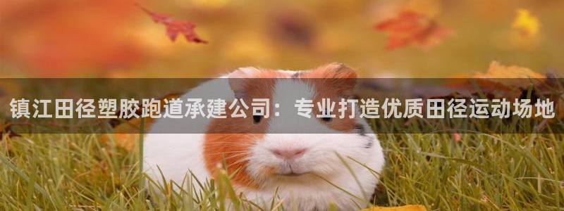 百度红足一1使用说明