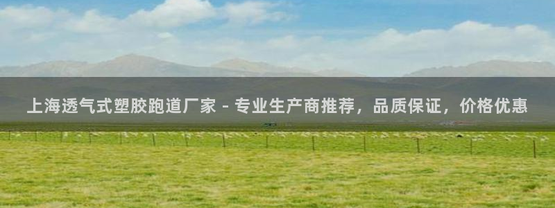 红足一：上海透气式塑胶跑道厂家 - 专业生产商推荐，品质保证，价格优惠
