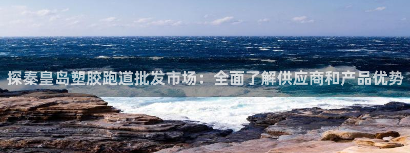 红足一1世77814：探秦皇岛塑胶跑道批发市场：全面了解供应商和产品优势