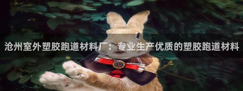 红足一1世平台：沧州室外塑胶跑道材料厂：专业生产优质的塑胶跑道材料