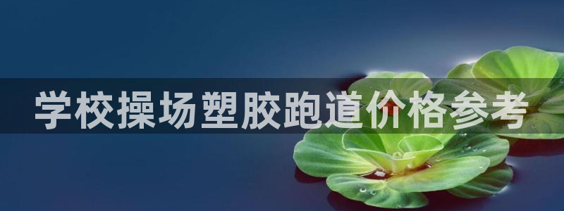 4633333开奖结果4176一点红：学校操场塑胶跑道价格参考