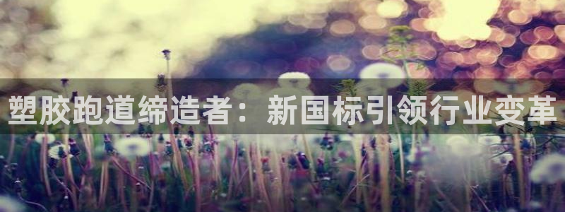 红足一比分网：塑胶跑道缔造者：新国标引领行业变革