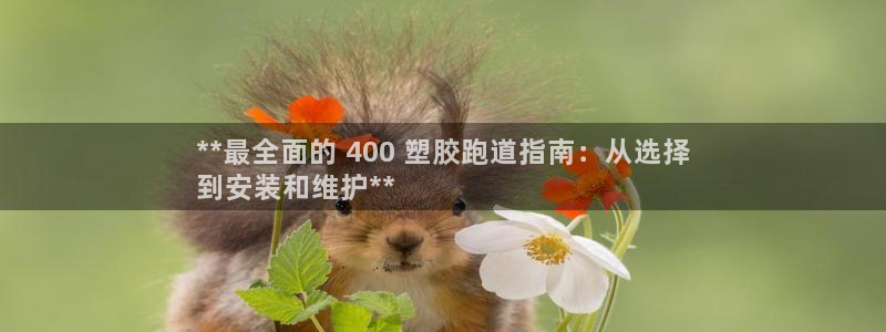 红足1世官网：**最全面的 400 塑胶跑道指南：从选择
到安装和维护**