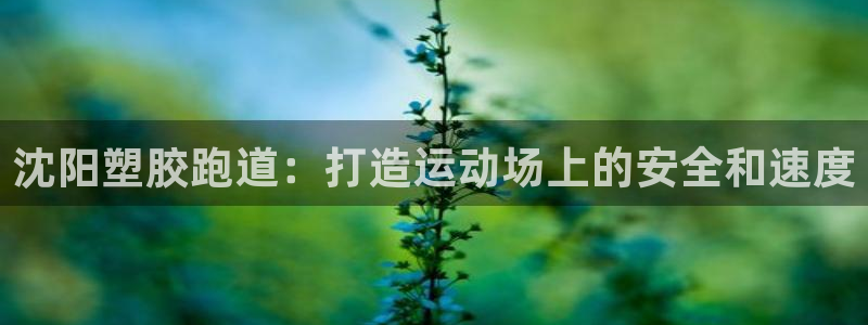 4633333开奖结果4176一点红：沈阳塑胶跑道：打造运动场上的安全和速度