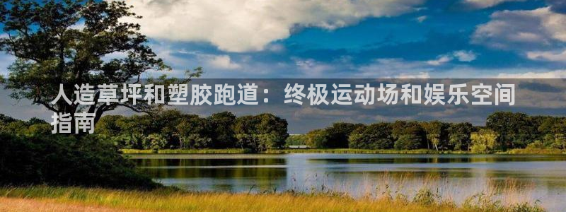 红姐现场直播开奖记录：人造草坪和塑胶跑道：终极运动场和娱乐空间
指南