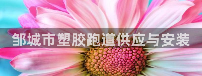 红足一球：邹城市塑胶跑道供应与安装