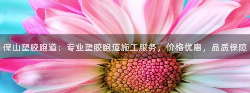 红世一足球比分：保山塑胶跑道：专业塑胶跑道施工服务，价格优惠，品质保障