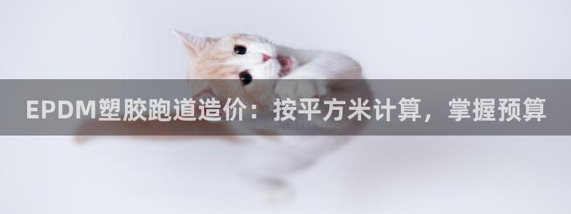 红足1世手足球比分：EPDM塑胶跑道造价：按平方米计算，掌握预算
