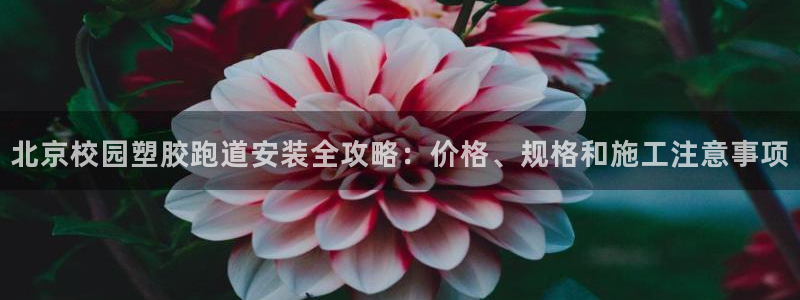 百度红足一1使用说明：北京校园塑胶跑道安装全攻略：价格、规格和施工注意事项