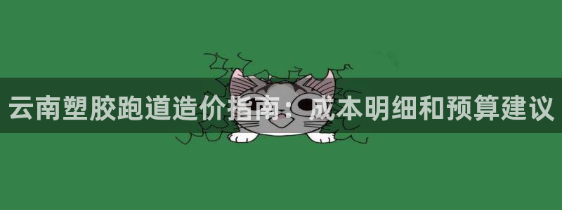 红足足球网：云南塑胶跑道造价指南：成本明细和预算建议