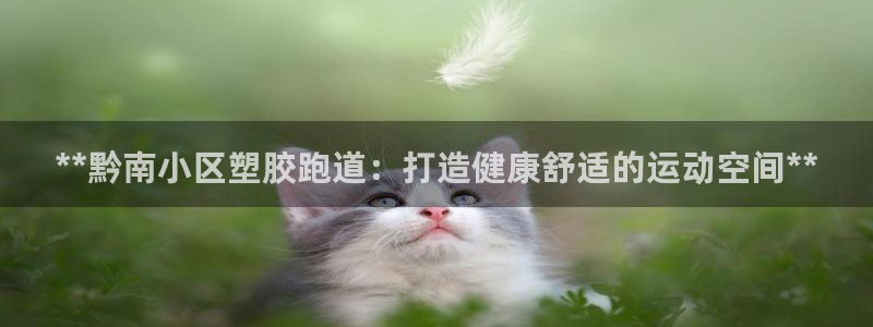 红足一1世手机版赛果：**黔南小区塑胶跑道：打造健康舒适的运动空间**