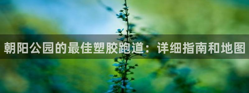 红足一1世官网比分：朝阳公园的最佳塑胶跑道：详细指南和地图