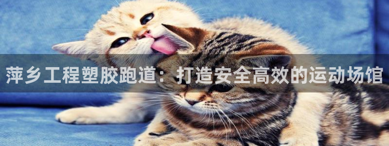 红足1世手机版下载：萍乡工程塑胶跑道：打造安全高效的运动场馆