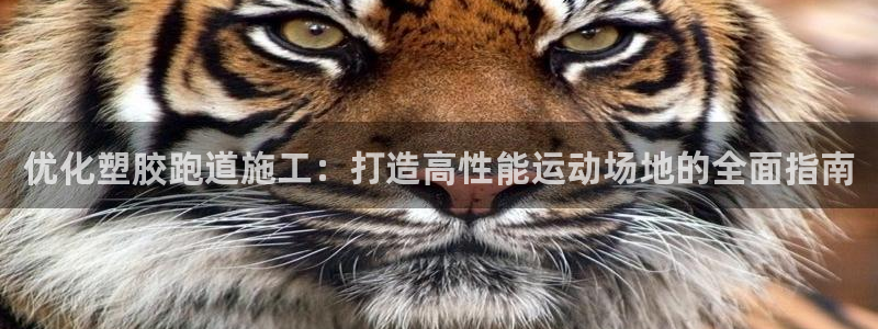 红足1世官网：优化塑胶跑道施工：打造高性能运动场地的全面指南
