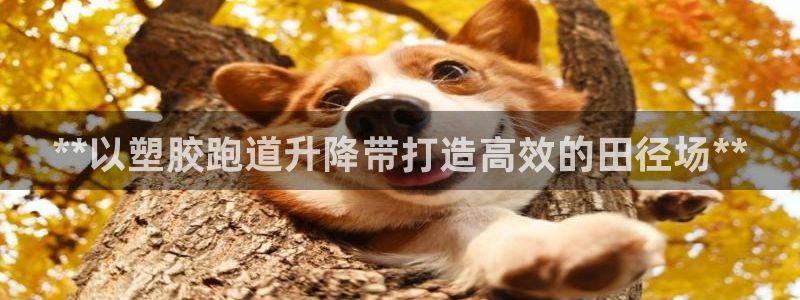 红足1世1站：**以塑胶跑道升降带打造高效的田径场**