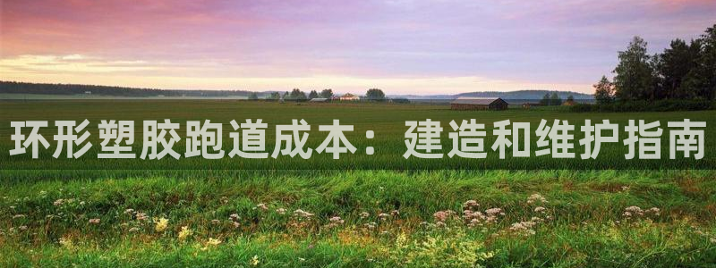红足一1世官网足球推荐真人：环形塑胶跑道成本：建造和维护指南