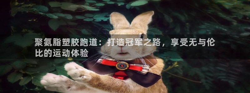 55814红足1世：聚氨脂塑胶跑道：打造冠军之路，享受无与伦
比的运动体验