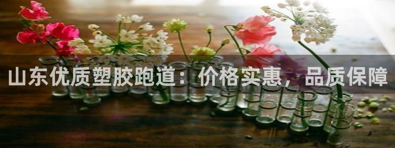 红足一1世77814：山东优质塑胶跑道：价格实惠，品质保障