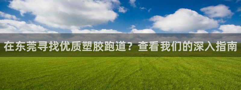 4633333开奖结果4176一点红