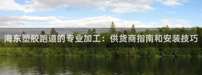 44814红足：海东塑胶跑道的专业加工：供货商指南和安装技巧