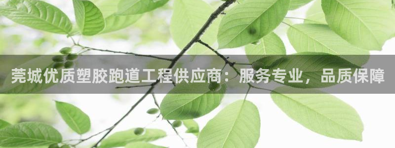 红足体育网：莞城优质塑胶跑道工程供应商：服务专业，品质保障