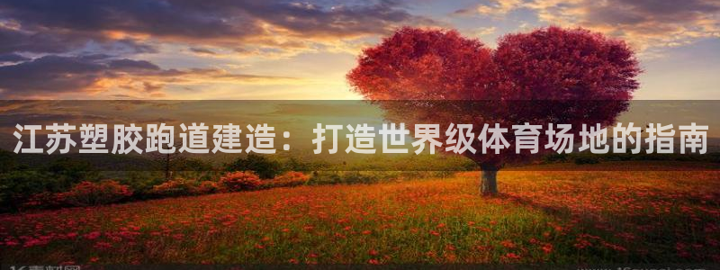 66814红足一66814世：江苏塑胶跑道建造：打造世界级体育场地的指南