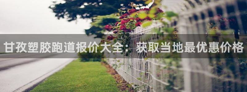 红足足球网：甘孜塑胶跑道报价大全：获取当地最优惠价格