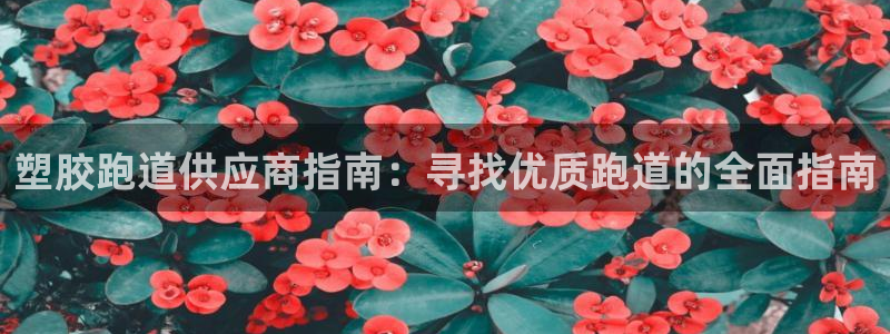 红足一：塑胶跑道供应商指南：寻找优质跑道的全面指南