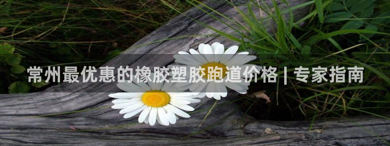 红足1一世 2站：常州最优惠的橡胶塑胶跑道价格 | 专家指南