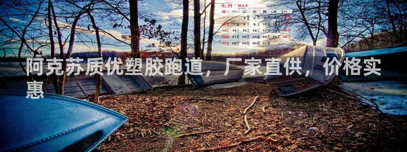 55814红足1世：阿克苏质优塑胶跑道，厂家直供，价格实
惠