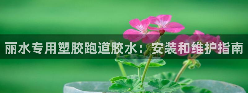 红足1世1站：丽水专用塑胶跑道胶水：安装和维护指南