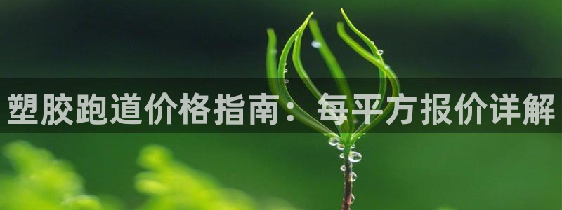 红足一生世：塑胶跑道价格指南：每平方报价详解