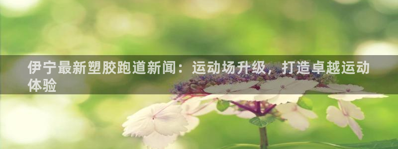 红足一1世手机版新皇冠：伊宁最新塑胶跑道新闻：运动场升级，打造卓越运动
体验