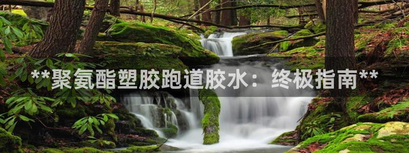 红足体育网：**聚氨酯塑胶跑道胶水：终极指南**