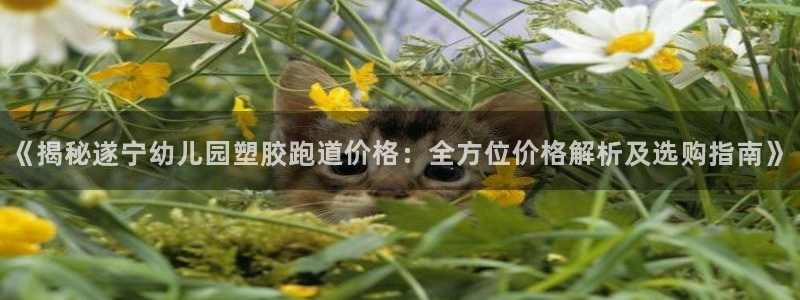 红足一1世666814最新结果：《揭秘遂宁幼儿园塑胶跑道价格：全方位价格解析及选购指南》