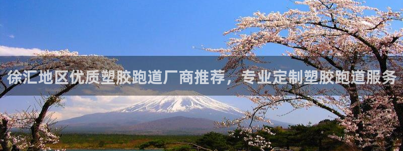 红足一生世：徐汇地区优质塑胶跑道厂商推荐，专业定制塑胶跑道服务