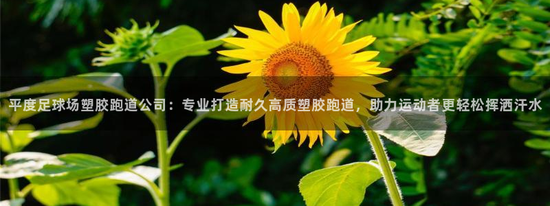 红姐现场直播开奖记录：平度足球场塑胶跑道公司：专业打造耐久高质塑胶跑道，助力运动者更轻松挥洒汗水