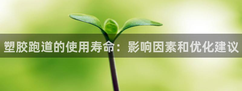 红足一1世官网比分：塑胶跑道的使用寿命：影响因素和优化建议