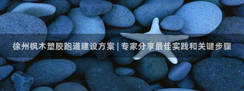 红足一1世比分：徐州枫木塑胶跑道建设方案 | 专家分享最佳实践和关键步骤