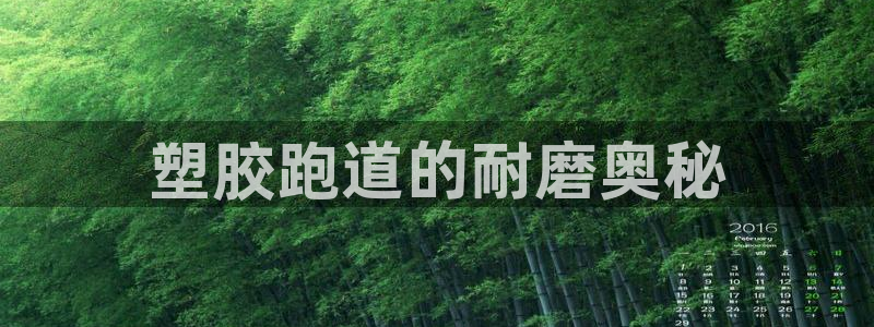 红足一1世官网：塑胶跑道的耐磨奥秘