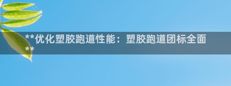 666814红·足一世比分：**优化塑胶跑道性能：塑胶跑道团标全面
**