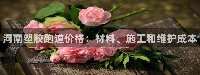 红足l一世开奖现场62ty：河南塑胶跑道价格：材料、施工和维护成本