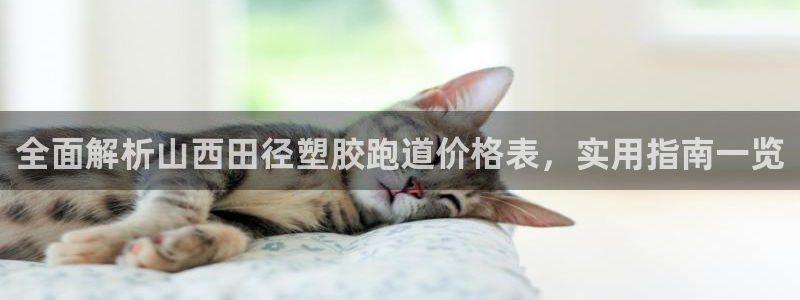 红足一1世皇冠登录：全面解析山西田径塑胶跑道价格表，实用指南一览