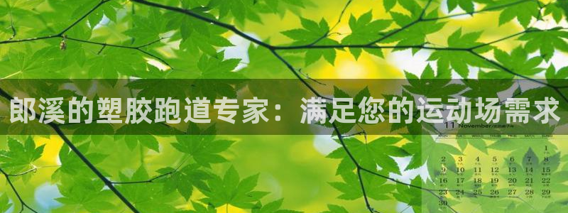 百度红足一1世：郎溪的塑胶跑道专家：满足您的运动场需求