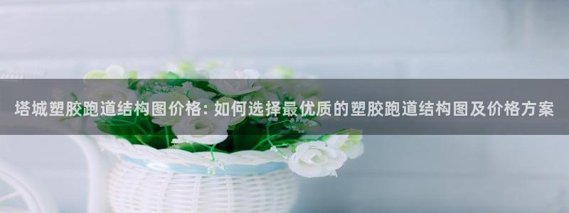 红足一：塔城塑胶跑道结构图价格: 如何选择最优质的塑胶跑道结构图及价格方案