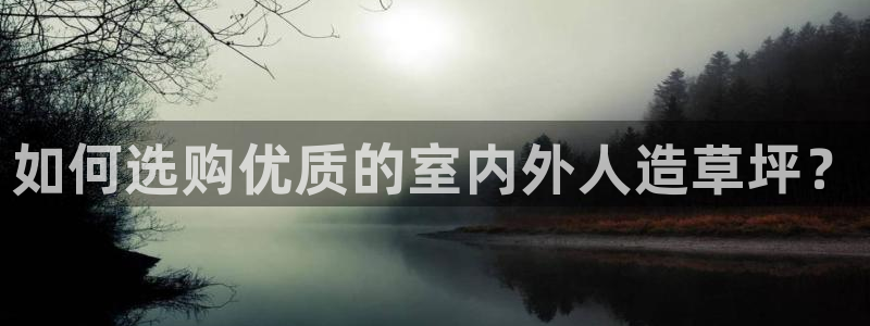 红足一1世：如何选购优质的室内外人造草坪？