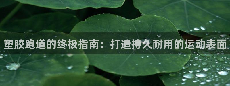 333814红足1世：塑胶跑道的终极指南：打造持久耐用的运动表面