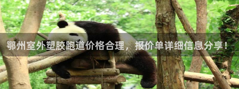 红足网足球直播：鄂州室外塑胶跑道价格合理，报价单详细信息分享！