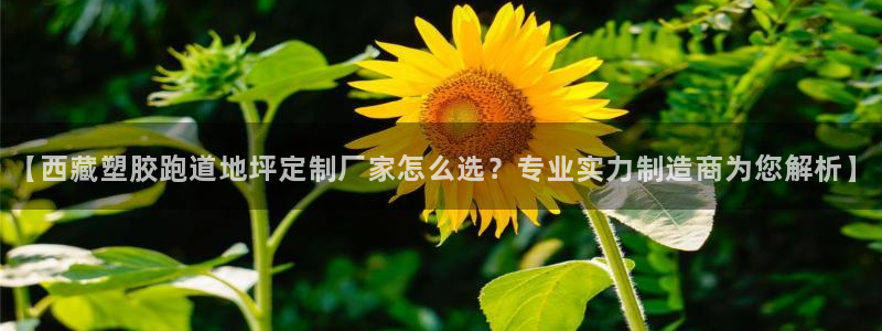 红足1世开奖预测：【西藏塑胶跑道地坪定制厂家怎么选？专业实力制造商为您解析】