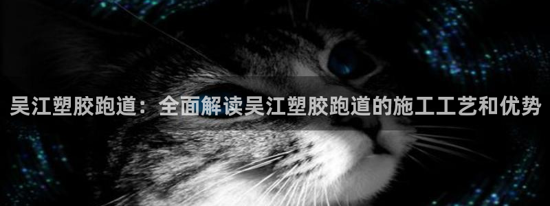 红足1世1站：吴江塑胶跑道：全面解读吴江塑胶跑道的施工工艺和优势